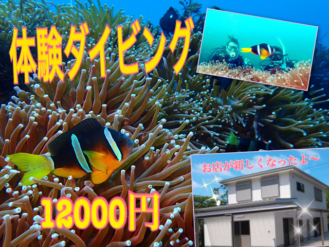 伊豆大島