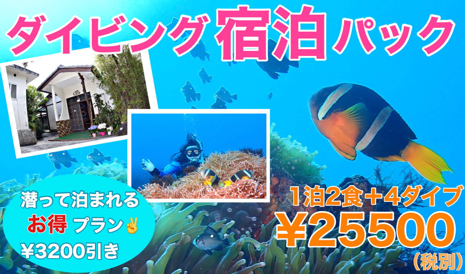 伊豆大島