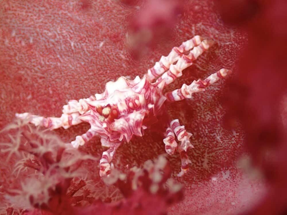 IMG 9679