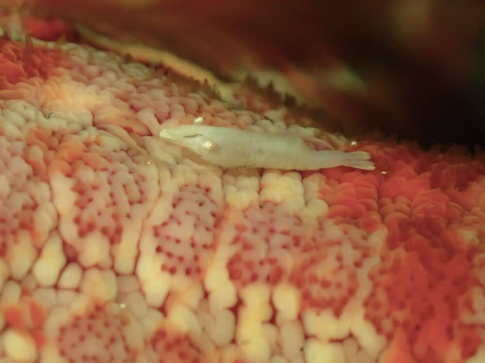 IMG 2107