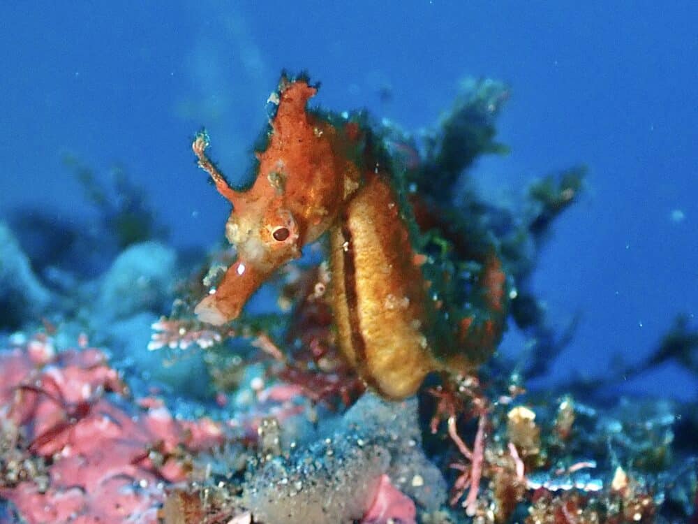 週末の生き物たち 2 IMG 4487