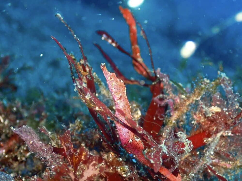 週末の生き物たち 4 IMG 4494