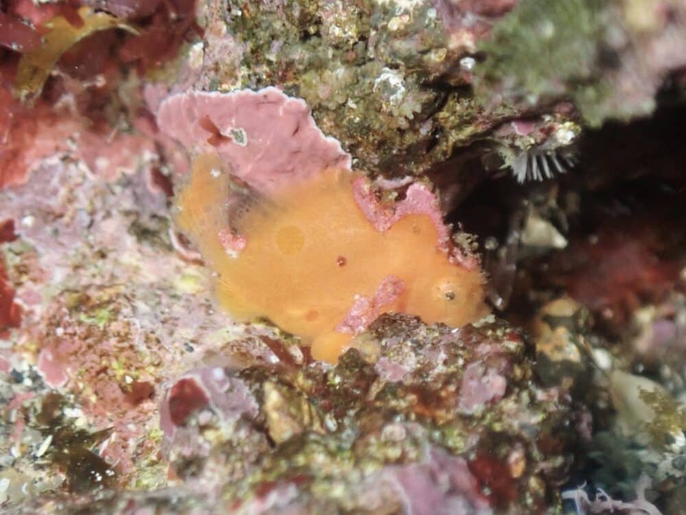 週末の生き物たち 7 IMG 4520