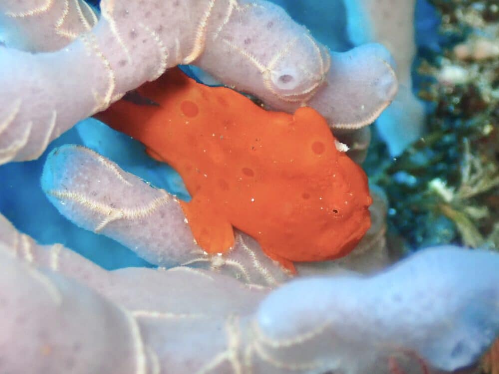 週末の生き物たち 5 IMG 4524