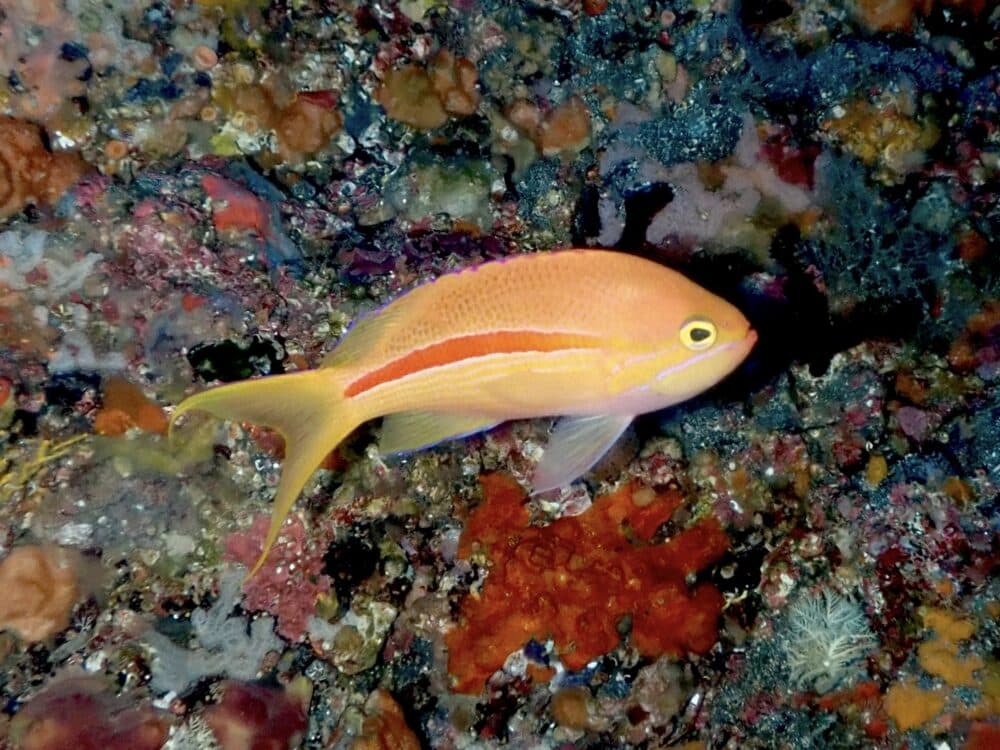 週末の生き物たち 6 IMG 4539